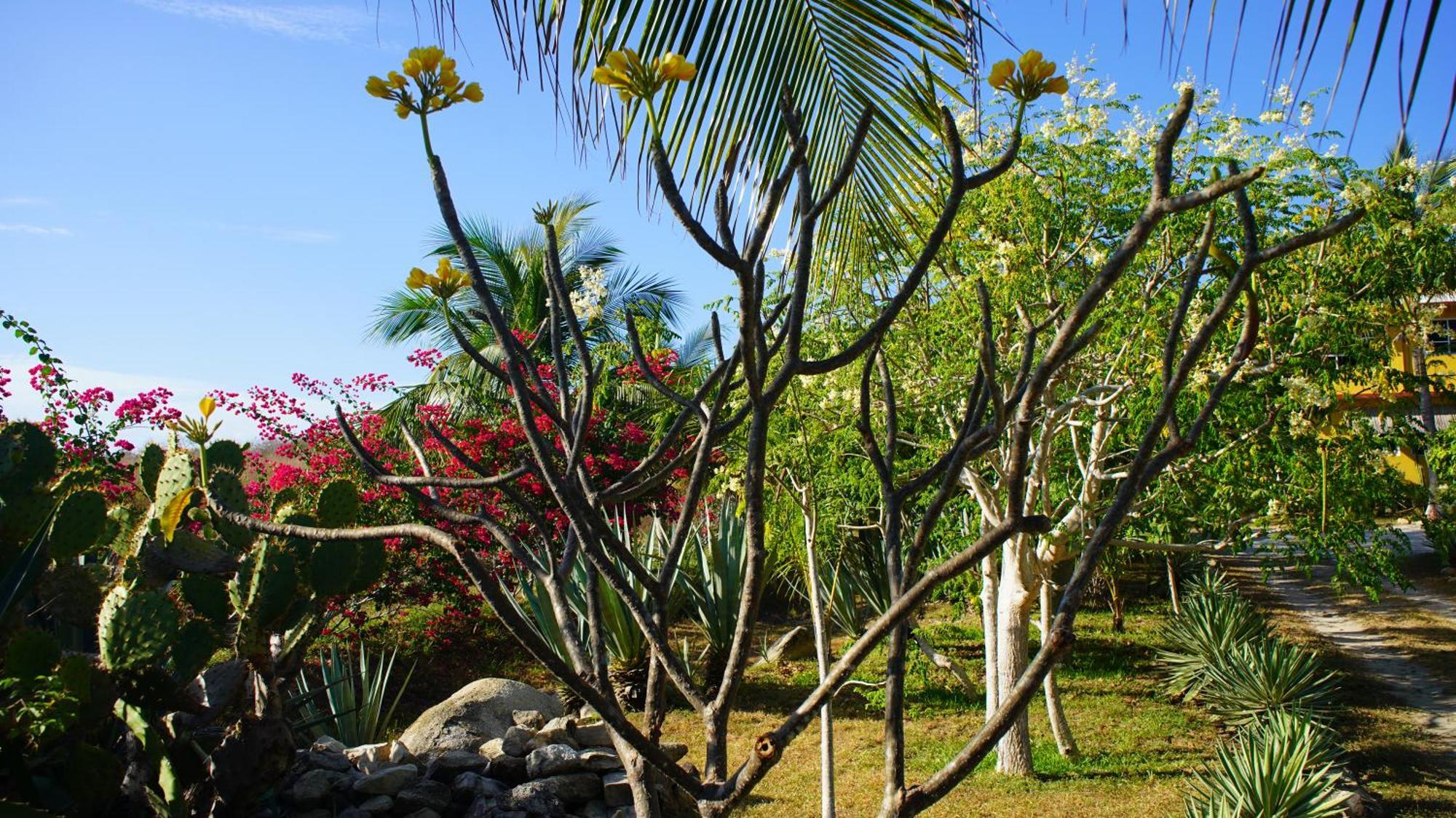 Ocean Oasis Hotel - Adult Only, Four Casitas Boutique Resort Agua Blanca Exterior foto